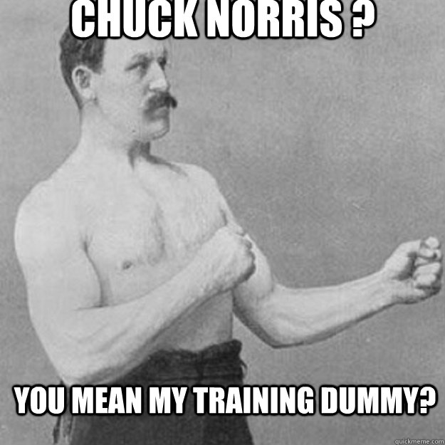 Chuck Norris ?  you mean my training dummy?  overly manly man