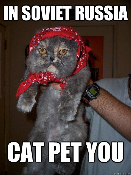 In soviet russia cat pet you - In soviet russia cat pet you  Soviet Cat