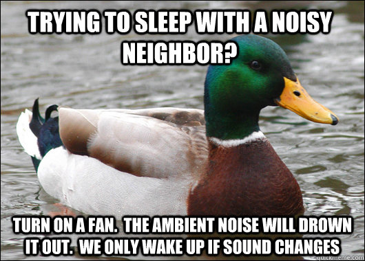 Trying to sleep with a noisy neighbor? turn on a fan.  The ambient noise will drown it out.  We only wake up if sound changes   Actual Advice Mallard