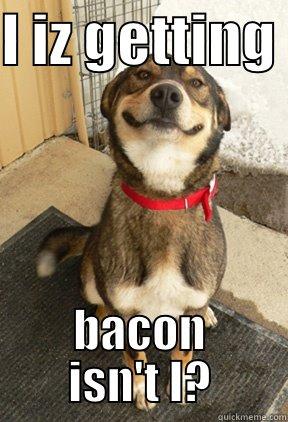 I IZ GETTING  BACON ISN'T I? Good Dog Greg