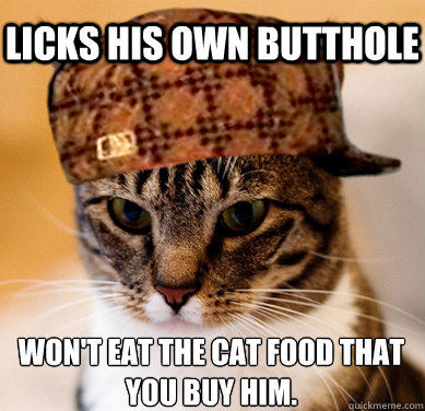 Licks his own butthole Won't eat the cat food that you buy him.  Scumbag Cat