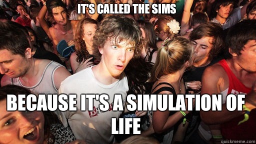 It's called the sims  Because it's a simulation of life  Sudden Clarity Clarence