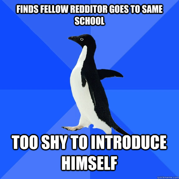 Finds fellow redditor goes to same school too shy to introduce himself     Socially Awkward Penguin
