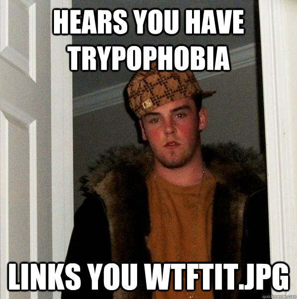 Hears you have Trypophobia links you wtftit.jpg - Hears you have Trypophobia links you wtftit.jpg  Scumbag Steve