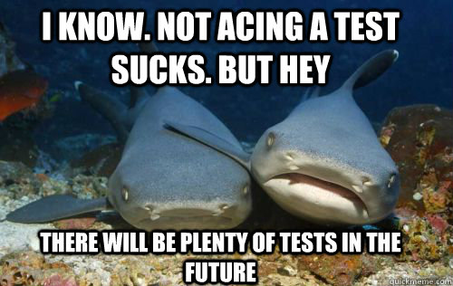 I know. not acing a test sucks. but hey  There will be plenty of tests in the future  Compassionate Shark Friend
