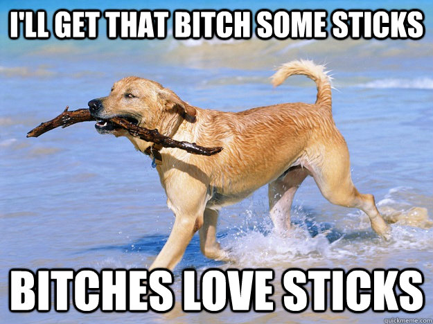I'll Get that bitch some Sticks bitches love sticks  Dog with Stick