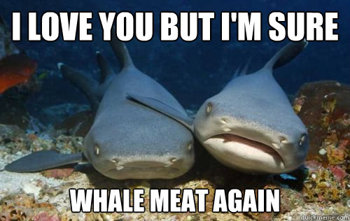 I love you but i'm sure whale meat again  Compassionate Shark Friend