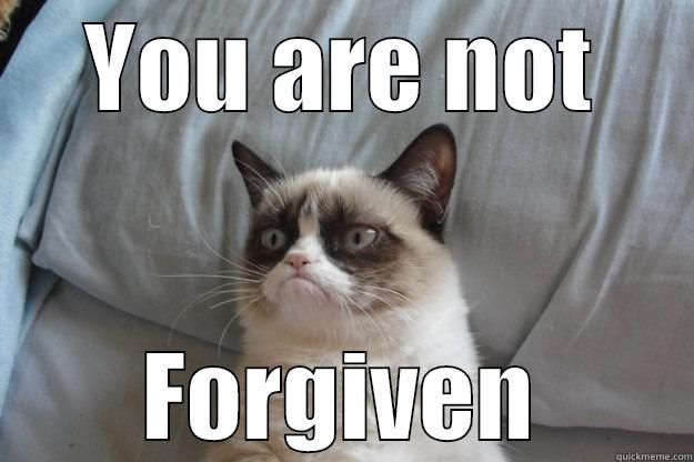 YOU ARE NOT FORGIVEN Grumpy Cat