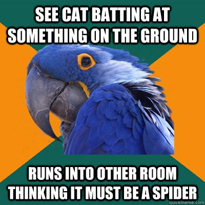 See cat batting at something on the ground runs into other room thinking it must be a spider  Paranoid Parrot