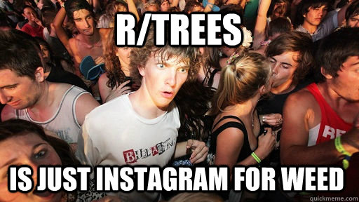 r/trees Is just instagram for weed  Sudden Clarity Clarence