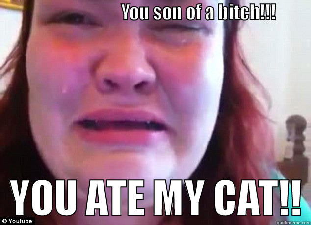 fat cryer -                                    YOU SON OF A BITCH!!!                       YOU ATE MY CAT!! Misc