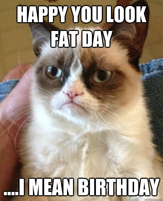 Happy you Look fat Day ....I mean Birthday  Angry Cat
