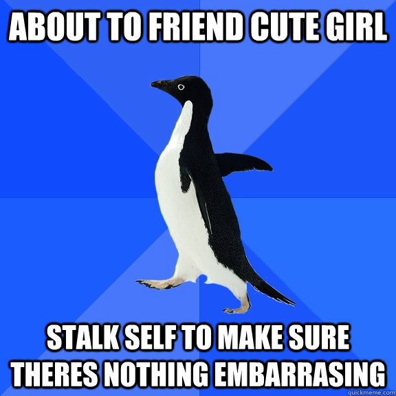 About to friend cute girl stalk self to make sure theres nothing embarrasing  Socially Awkward Penguin