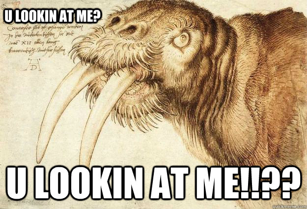 u lookin at me? u lookin at me!!?? - u lookin at me? u lookin at me!!??  Wiggin Out Walrus