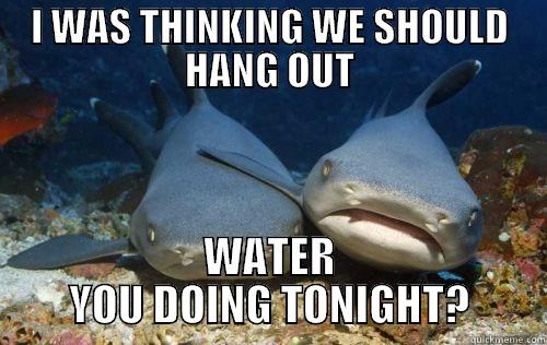 Hang out shark - I WAS THINKING WE SHOULD HANG OUT WATER YOU DOING TONIGHT? Compassionate Shark Friend