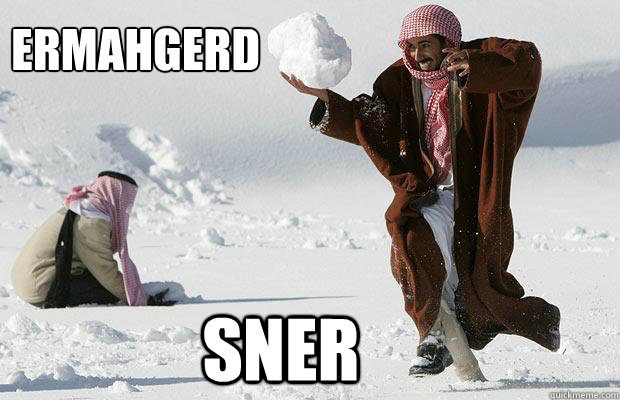 ERMAHGERD SNER - ERMAHGERD SNER  SNER