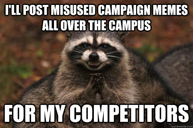 I'll post misused campaign memes all over the campus for my competitors  Evil Plotting Raccoon