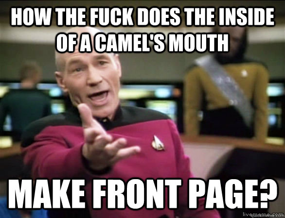 How the fuck does the inside of a Camel's mouth make front page?  Annoyed Picard HD