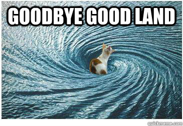 Goodbye Good Land   Goodbye Cat
