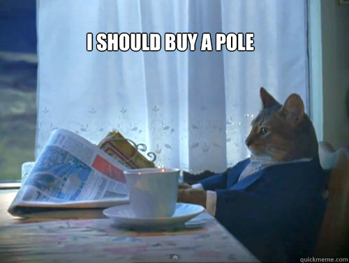 I should buy a pole   The One Percent Cat