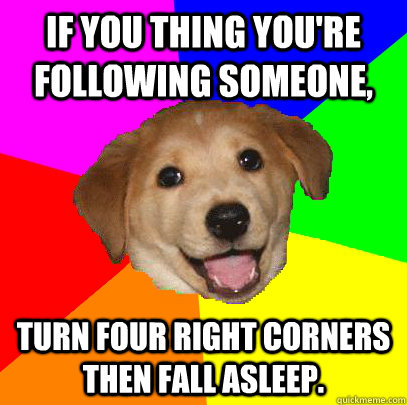 If you thing you're following someone, turn four right corners then fall asleep. - If you thing you're following someone, turn four right corners then fall asleep.  Advice Dog