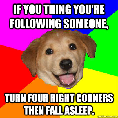 If you thing you're following someone, turn four right corners then fall asleep.  Advice Dog