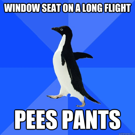 Window seat on a long flight Pees Pants  Socially Awkward Penguin