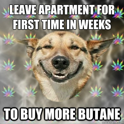 leave apartment for first time in weeks to buy more butane  Stoner Dog