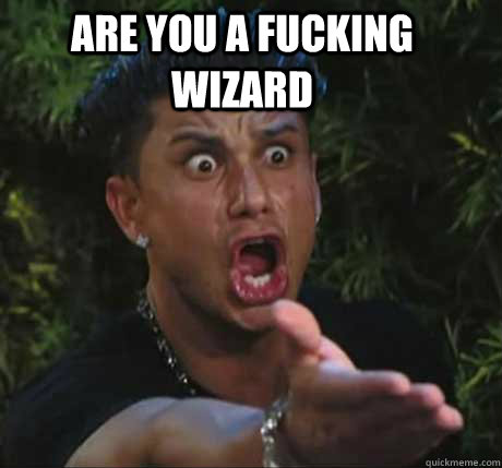 ARE YOU A FUCKING WIZARD   Dj Pauly D
