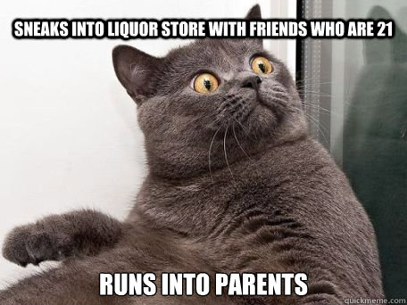 Sneaks into liquor store with friends who are 21 Runs into parents - Sneaks into liquor store with friends who are 21 Runs into parents  conspiracy cat