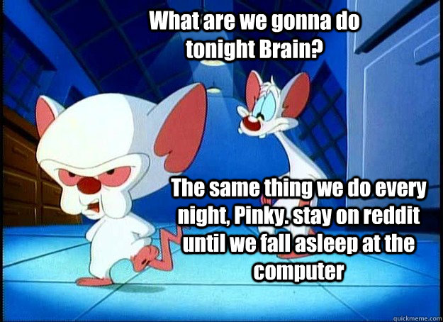 What are we gonna do tonight Brain? The same thing we do every night, Pinky. stay on reddit until we fall asleep at the computer - What are we gonna do tonight Brain? The same thing we do every night, Pinky. stay on reddit until we fall asleep at the computer  Pinky and the Brain