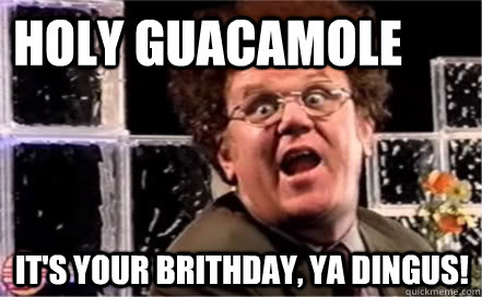 Holy Guacamole It's your brithday, Ya Dingus!  Steve Brule Birthday