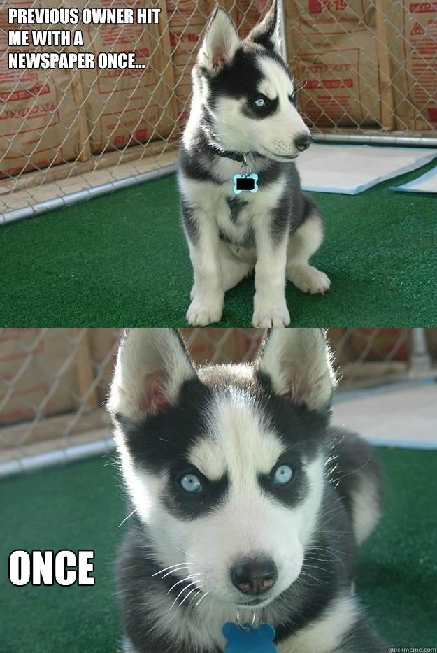 Previous owner hit 
me with a 
newspaper once... once  Insanity puppy