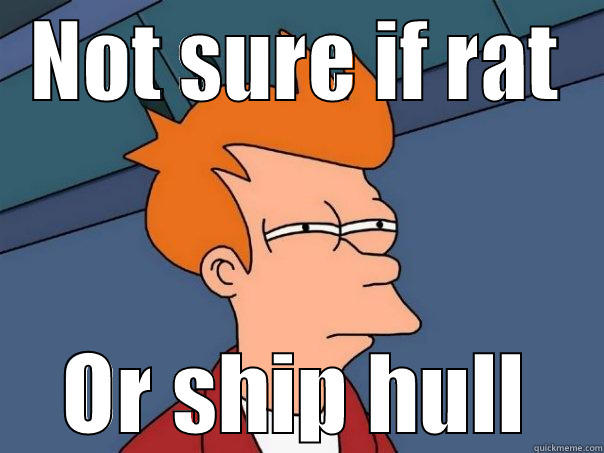 NOT SURE IF RAT OR SHIP HULL Futurama Fry