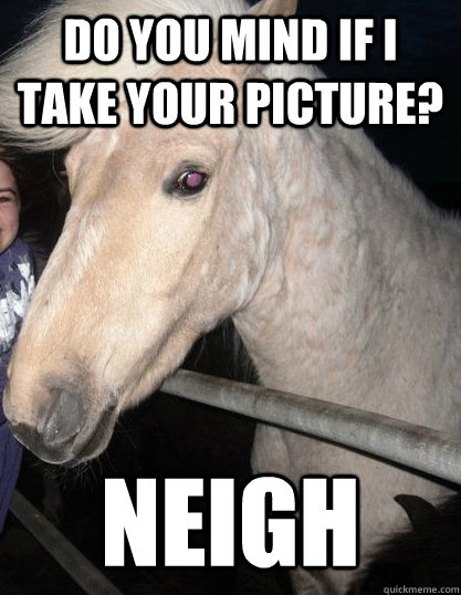 Do you mind if I take your picture? Neigh  