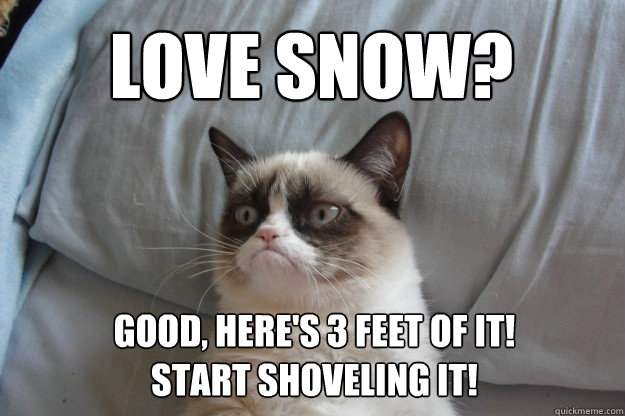 Love snow? Good, here's 3 feet of it!                   start shoveling it! - Love snow? Good, here's 3 feet of it!                   start shoveling it!  Misc