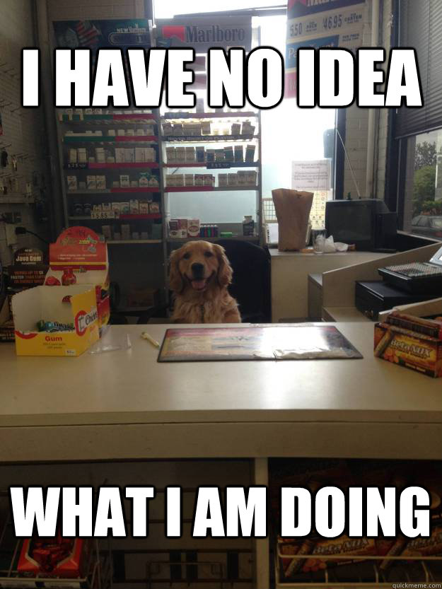 I have no idea What I am doing  Cashier dog