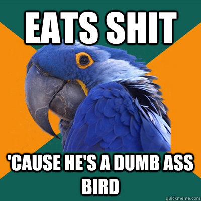 Eats shit 'Cause he's a dumb ass bird  Paranoid Parrot