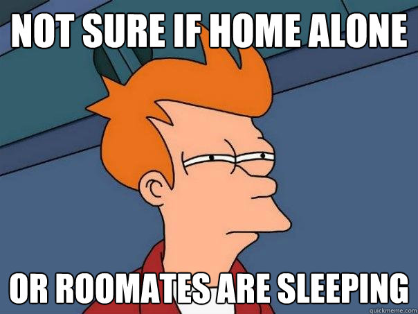 Not sure if home alone Or roomates are sleeping  Futurama Fry