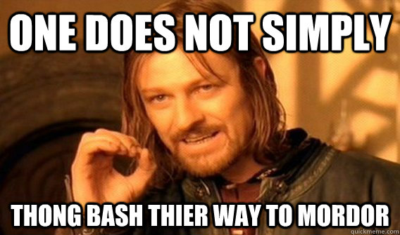 One does not simply thong bash thier way to mordor  One does not simply beat skyrim