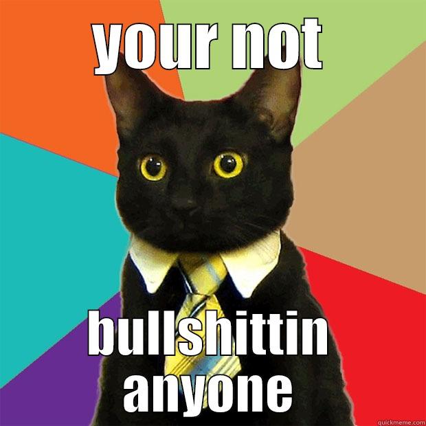 YOUR NOT BULLSHITTIN ANYONE Business Cat