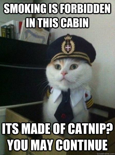 Smoking is forbidden in this cabin Its made of catnip? You may continue  Captain kitteh