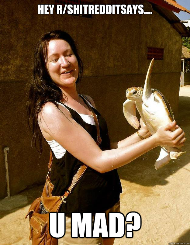 Hey r/shitredditsays.... U mad?  Domestic Violence Turtle