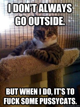 I don't always go outside. But when I do, it's to fuck some pussycats.   The Most Interesting Cat in the World