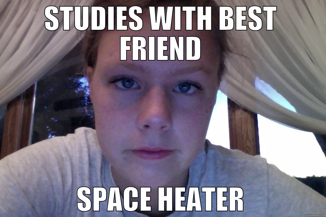 STUDIES WITH BEST FRIEND SPACE HEATER Misc