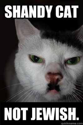 Shandy cat Not Jewish.  Hitler cat