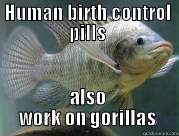 HUMAN BIRTH CONTROL PILLS ALSO WORK ON GORILLAS Misc