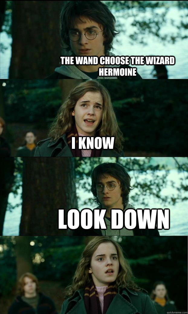 The wand choose the wizard Hermoine I know Look down  Horny Harry