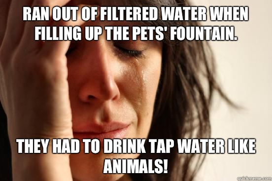 Ran out of filtered water when filling up the pets' fountain. They had to drink tap water like animals!  First World Problems