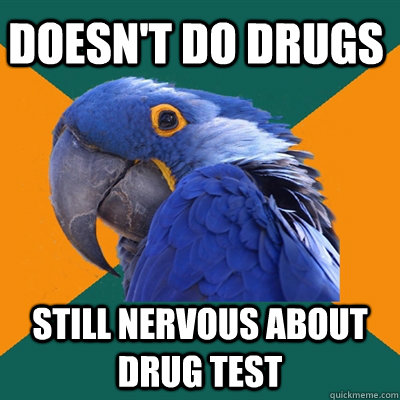 Doesn't do drugs Still nervous about drug test - Doesn't do drugs Still nervous about drug test  Paranoid Parrot